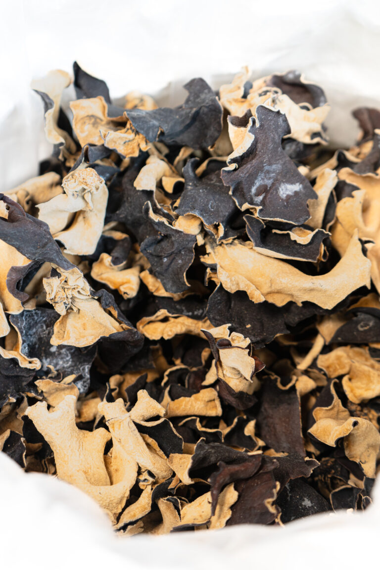 Black fungus