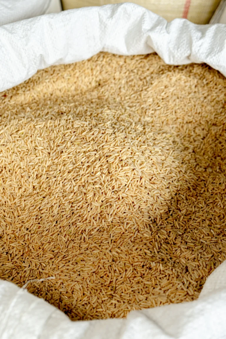 Embrio Rice