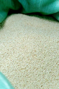 Organic White Glutinous Rice